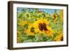 Sweet Sunflower Kiss-Carrie Ann Grippo-Pike-Framed Art Print