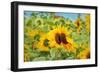 Sweet Sunflower Kiss-Carrie Ann Grippo-Pike-Framed Art Print