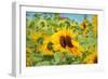 Sweet Sunflower Kiss-Carrie Ann Grippo-Pike-Framed Art Print