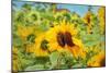 Sweet Sunflower Kiss-Carrie Ann Grippo-Pike-Mounted Art Print