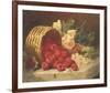 Sweet Taste of Summer-Elizabeth Stannard-Framed Giclee Print