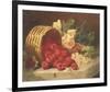 Sweet Taste of Summer-Elizabeth Stannard-Framed Giclee Print