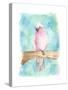 Sweet Tropical Bird III-Regina Moore-Stretched Canvas