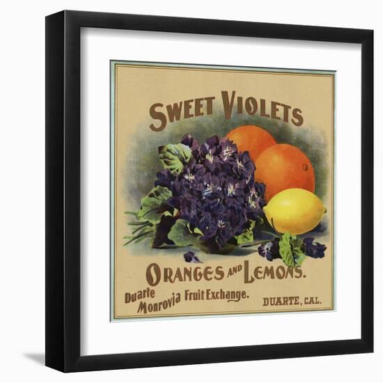 Sweet Violets Brand - Duarte, California - Citrus Crate Label-Lantern Press-Framed Art Print