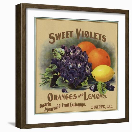 Sweet Violets Brand - Duarte, California - Citrus Crate Label-Lantern Press-Framed Art Print