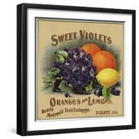 Sweet Violets Brand - Duarte, California - Citrus Crate Label-Lantern Press-Framed Art Print