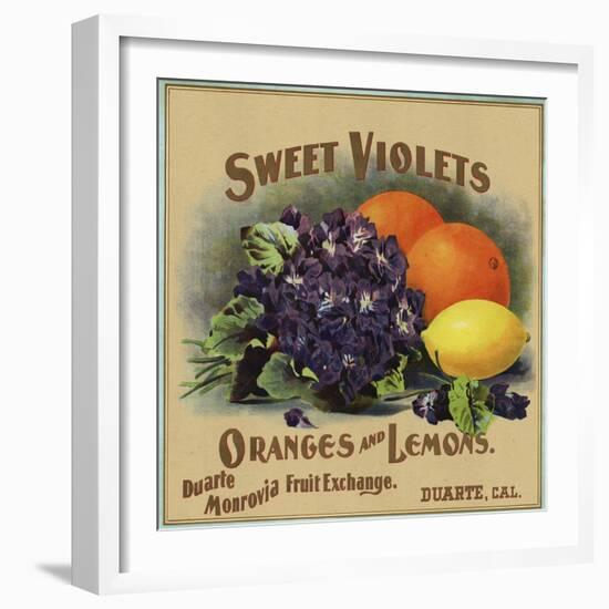 Sweet Violets Brand - Duarte, California - Citrus Crate Label-Lantern Press-Framed Art Print