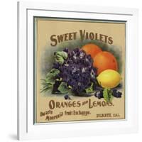 Sweet Violets Brand - Duarte, California - Citrus Crate Label-Lantern Press-Framed Art Print