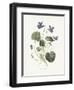 Sweet Violets-Gwendolyn Babbitt-Framed Art Print