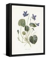 Sweet Violets-Gwendolyn Babbitt-Framed Stretched Canvas