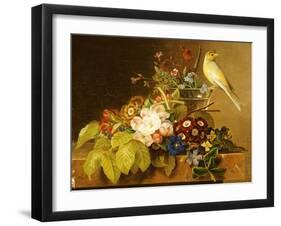 Sweet William, Forget Me Not, Convulvus and a Canary on a Ledge-Johan Laurentz Jensen-Framed Giclee Print