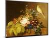 Sweet William, Forget Me Not, Convulvus and a Canary on a Ledge-Johan Laurentz Jensen-Mounted Giclee Print