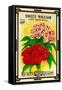 Sweet William Seed Packet-Lantern Press-Framed Stretched Canvas