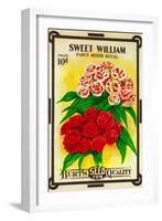 Sweet William Seed Packet-Lantern Press-Framed Art Print