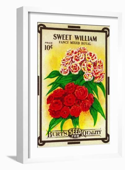 Sweet William Seed Packet-Lantern Press-Framed Art Print