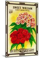 Sweet William Seed Packet-Lantern Press-Mounted Art Print