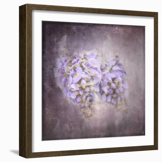 Sweet Wisteria-Jai Johnson-Framed Giclee Print