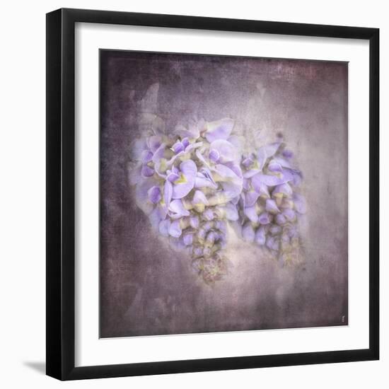 Sweet Wisteria-Jai Johnson-Framed Giclee Print