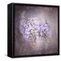 Sweet Wisteria-Jai Johnson-Framed Stretched Canvas