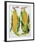 Sweetcorn, 2013-Jennifer Abbott-Framed Giclee Print