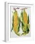 Sweetcorn, 2013-Jennifer Abbott-Framed Giclee Print