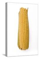 Sweetcorn Corn on the Cob-null-Stretched Canvas