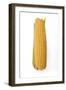Sweetcorn Corn on the Cob-null-Framed Photographic Print
