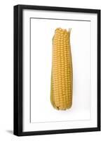 Sweetcorn Corn on the Cob-null-Framed Photographic Print