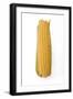 Sweetcorn Corn on the Cob-null-Framed Photographic Print