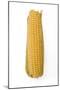 Sweetcorn Corn on the Cob-null-Mounted Photographic Print