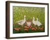 Sweetcorn-Geese-Ditz-Framed Giclee Print