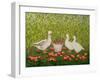 Sweetcorn-Geese-Ditz-Framed Giclee Print