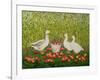 Sweetcorn-Geese-Ditz-Framed Giclee Print