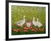 Sweetcorn-Geese-Ditz-Framed Giclee Print