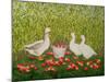 Sweetcorn-Geese-Ditz-Mounted Giclee Print