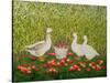 Sweetcorn-Geese-Ditz-Stretched Canvas