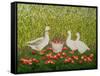 Sweetcorn-Geese-Ditz-Framed Stretched Canvas