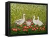 Sweetcorn-Geese-Ditz-Framed Stretched Canvas