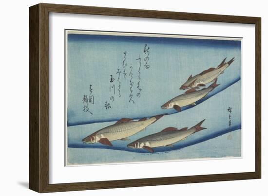 Sweetfish, 1832-1833-Utagawa Hiroshige-Framed Giclee Print