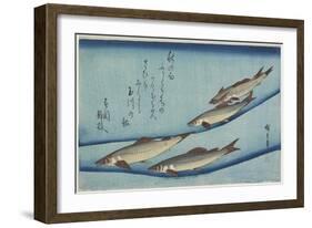 Sweetfish, 1832-1833-Utagawa Hiroshige-Framed Giclee Print