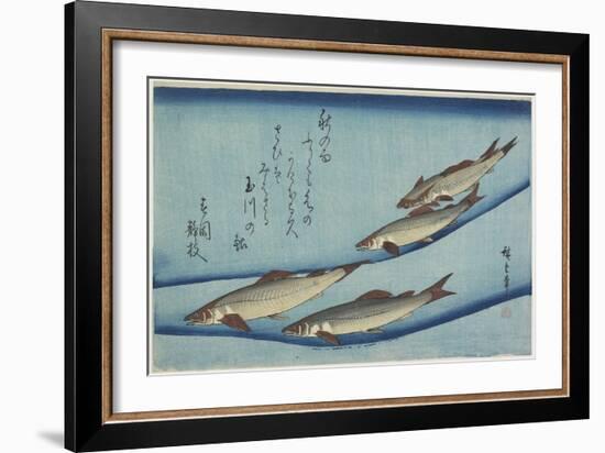 Sweetfish, 1832-1833-Utagawa Hiroshige-Framed Giclee Print