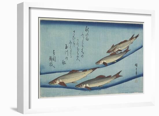 Sweetfish, 1832-1833-Utagawa Hiroshige-Framed Giclee Print