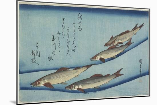 Sweetfish, 1832-1833-Utagawa Hiroshige-Mounted Giclee Print
