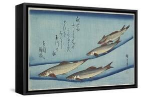Sweetfish, 1832-1833-Utagawa Hiroshige-Framed Stretched Canvas