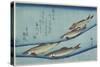 Sweetfish, 1832-1833-Utagawa Hiroshige-Stretched Canvas