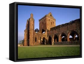 Sweetheart Abbey, Cistercian Abbey, New Abbey, Dumfries and Galloway, Scotland, UK-Patrick Dieudonne-Framed Stretched Canvas