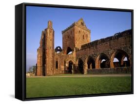 Sweetheart Abbey, Cistercian Abbey, New Abbey, Dumfries and Galloway, Scotland, UK-Patrick Dieudonne-Framed Stretched Canvas