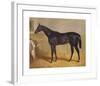 Sweetmeat, 1846-J.F. Herring Senior-Framed Premium Giclee Print