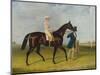 Sweetmeat, a Dark Bay Racehorse with Whitehouse Led by Trainer on a Racecourse, 1845-Herbert-clayton Desvignes-Mounted Giclee Print