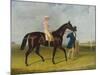 Sweetmeat, a Dark Bay Racehorse with Whitehouse Led by Trainer on a Racecourse, 1845-Herbert-clayton Desvignes-Mounted Giclee Print